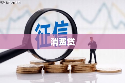 道里消费贷