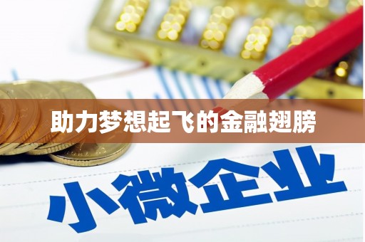 天元助力梦想起飞的金融翅膀