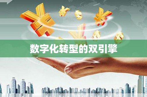 毕节数字化转型的双引擎