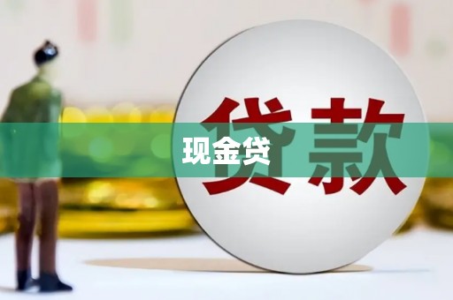 岭东现金贷