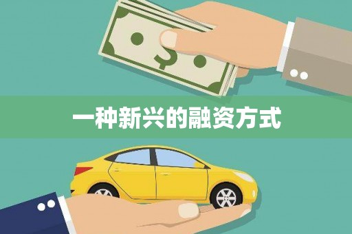 修水一种新兴的融资方式