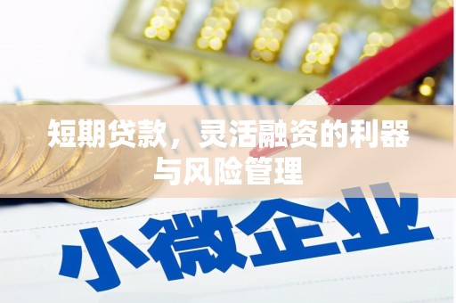 滨海短期贷款，灵活融资的利器与风险管理