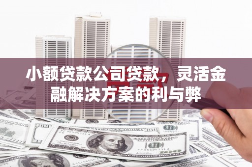 沙湾小额贷款公司贷款，灵活金融解决方案的利与弊