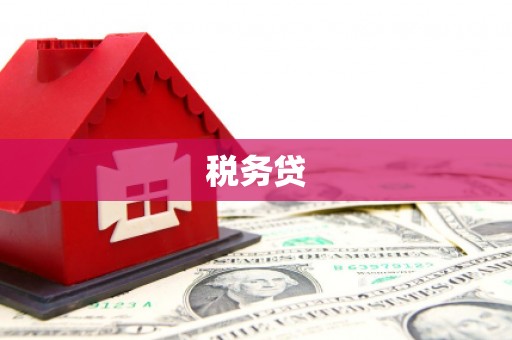 闵行税务贷