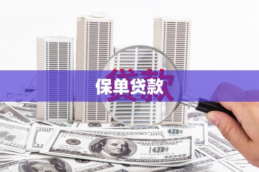 西丰保单贷款 西丰保单贷款